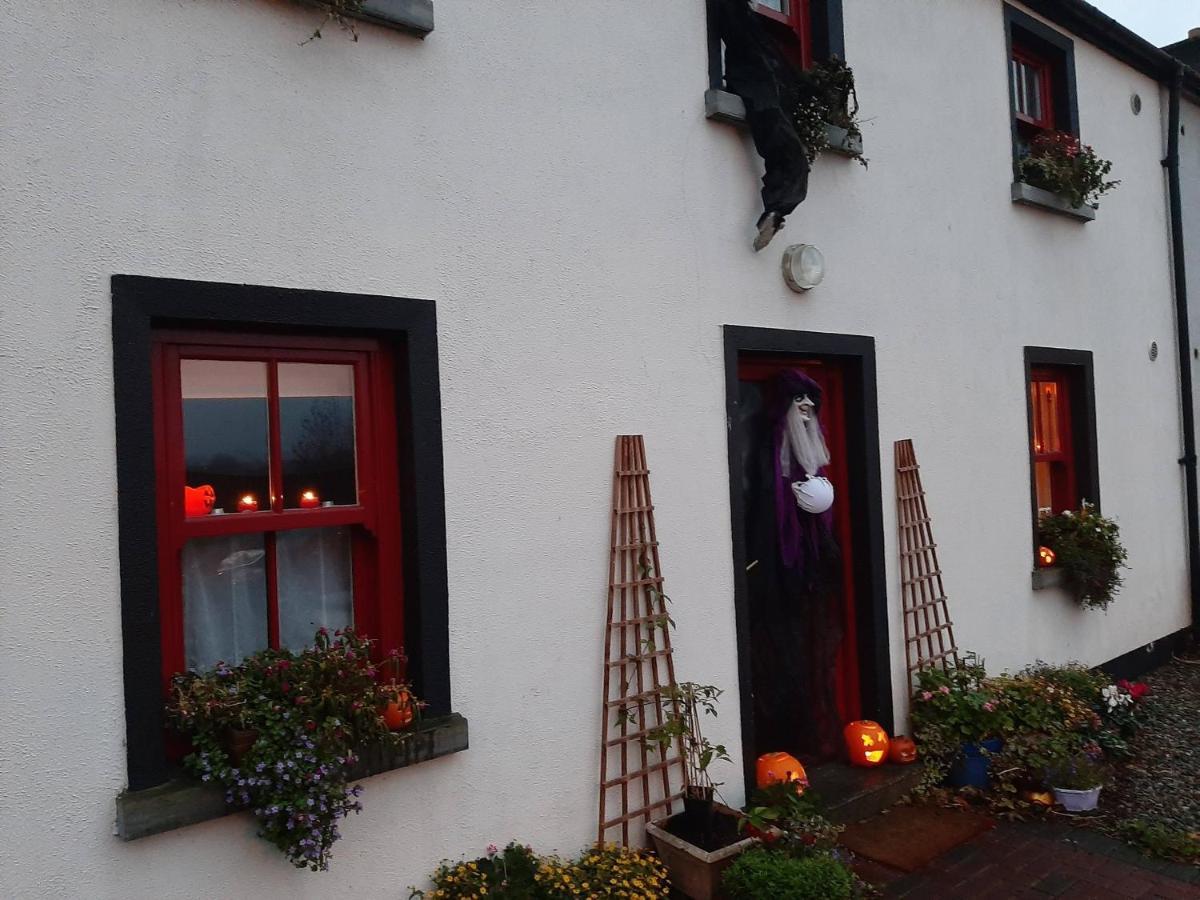 Nellys Bed And Bikes Hotel Westport Exterior foto